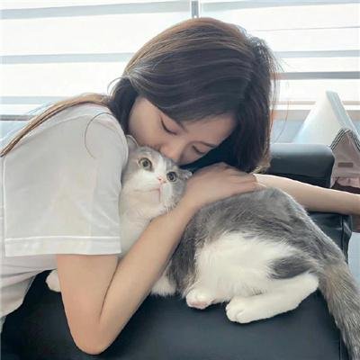 天下无坑