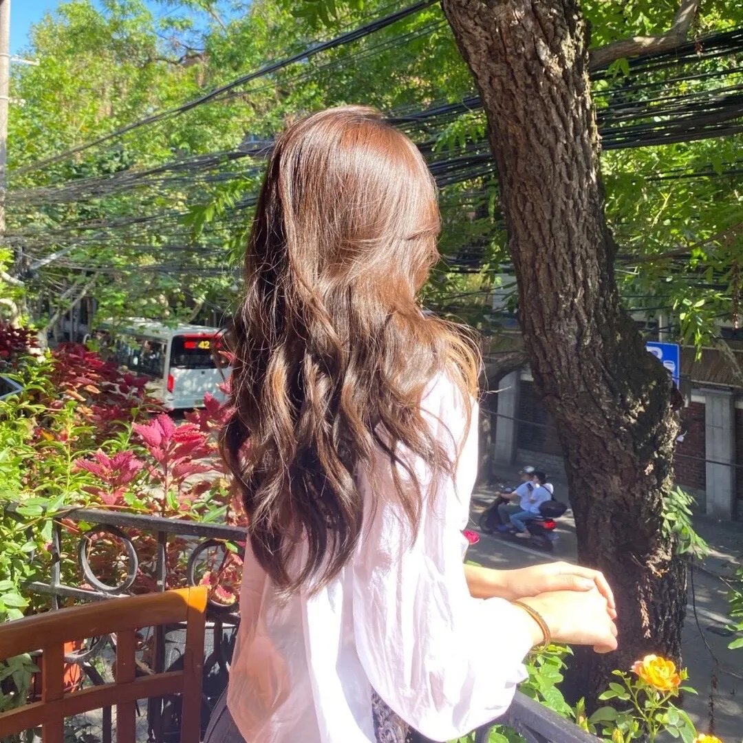 博莱罗